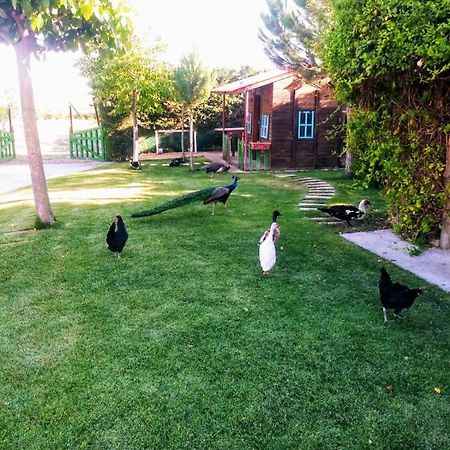 Refugio Con Casitas Infantiles Villa Zamora Dış mekan fotoğraf