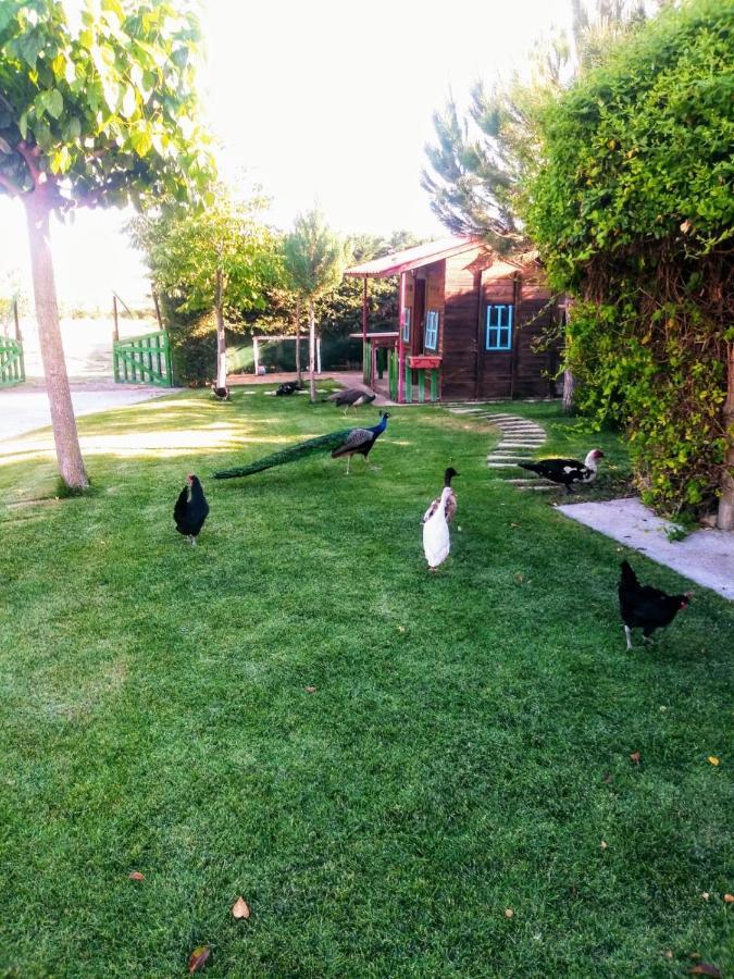 Refugio Con Casitas Infantiles Villa Zamora Dış mekan fotoğraf