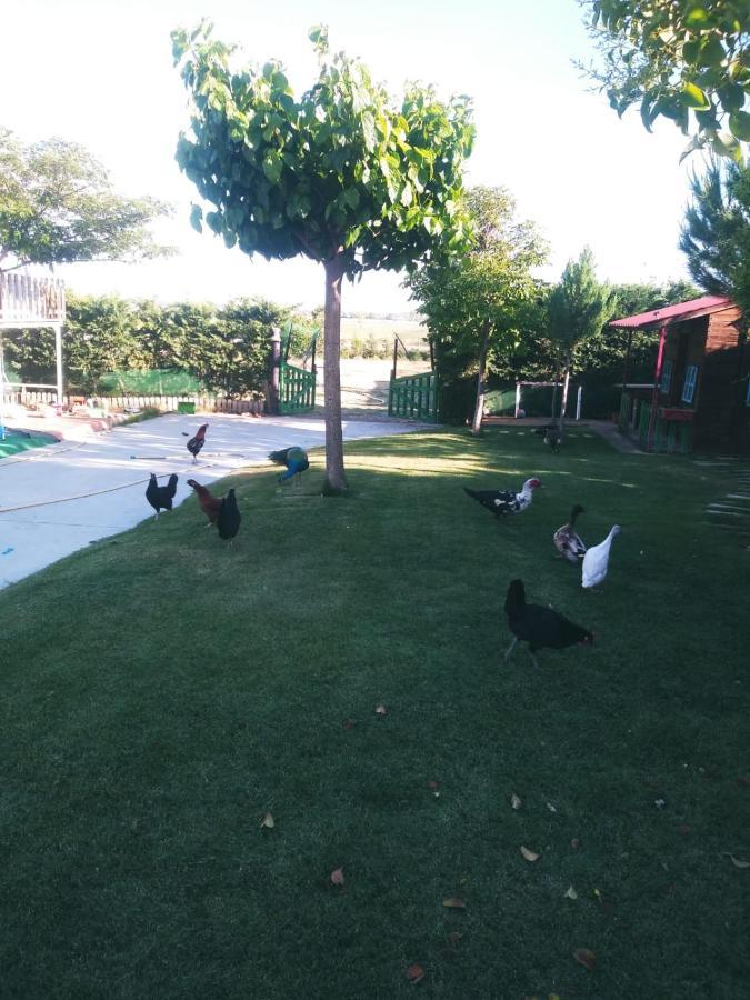 Refugio Con Casitas Infantiles Villa Zamora Dış mekan fotoğraf